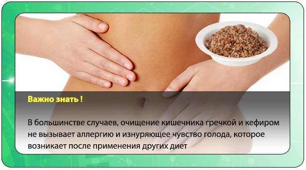 Очищение организма гречкой - рецепты приготовления, полезные свойства