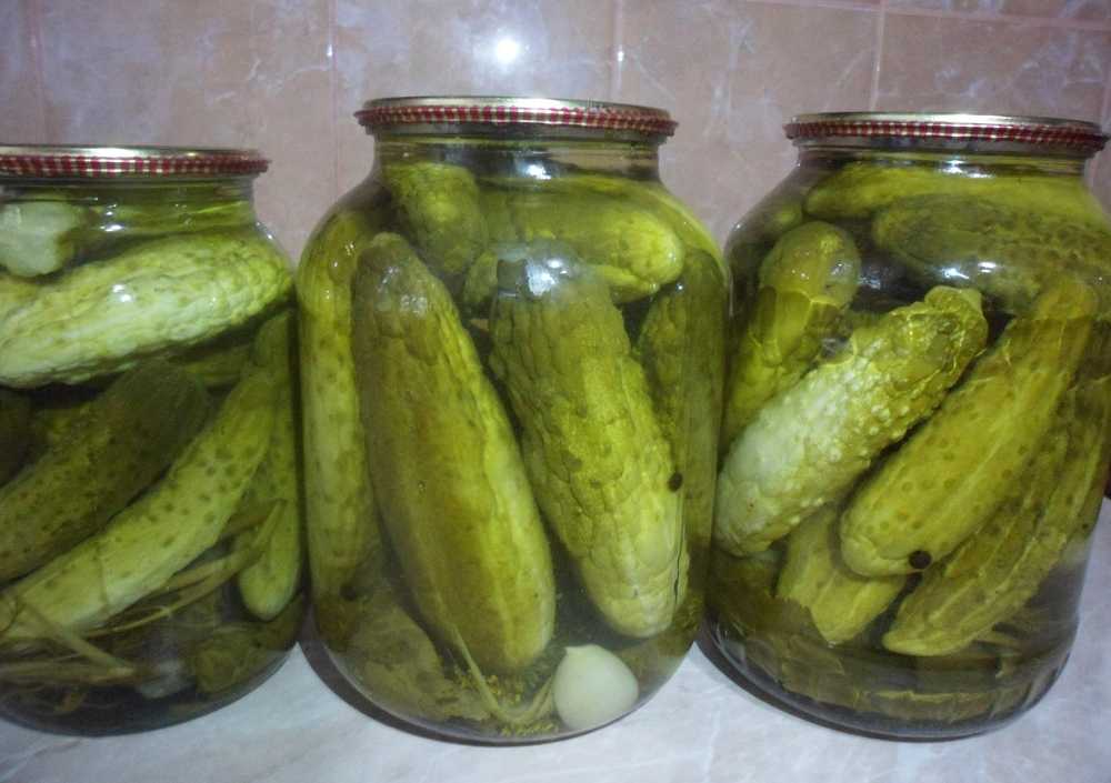 Консервированные огурцы на зиму — самые вкусные рецепты