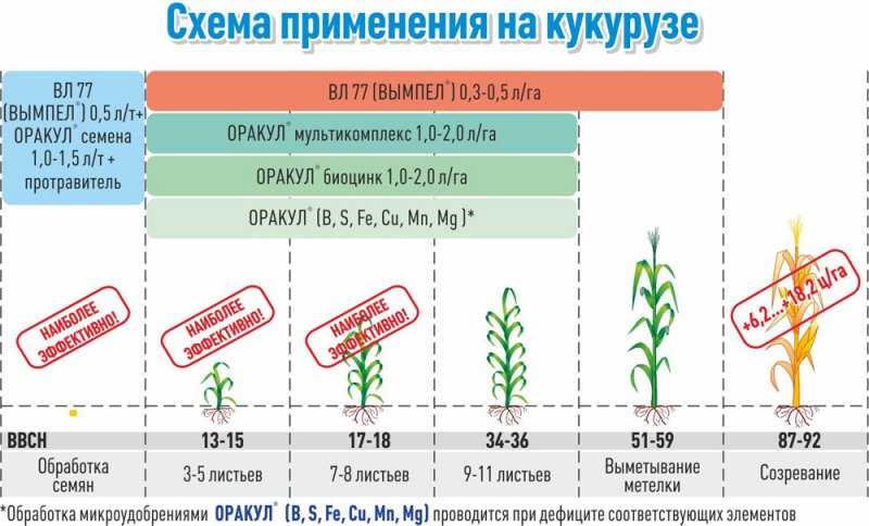 Азотная подкормка озимой пшеницы: способы внесения (внекорневая, корневая), влияние органических удобрений на яровую пшеницу