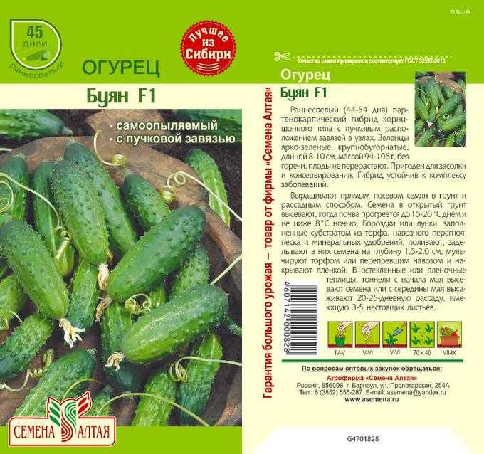 Огурец алекс f1: отзывы тех, кто выращивал, рекомендации по уходу для получения богатого урожая, его сбор и применение