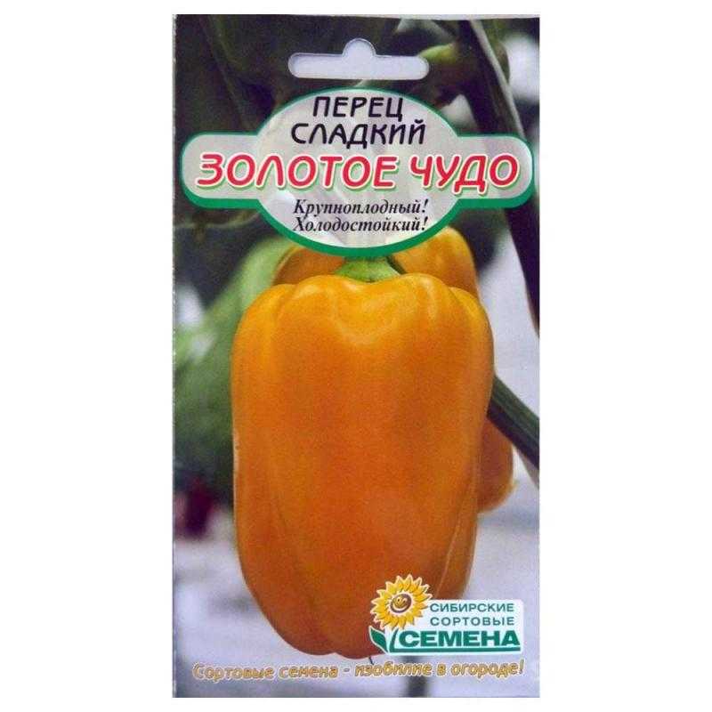 Перец золотое чудо: описание и характеристика сладкого болгарского сорта, фото растения в высоту, отзывы об урожайности, как посадить и выращивать на подоконнике