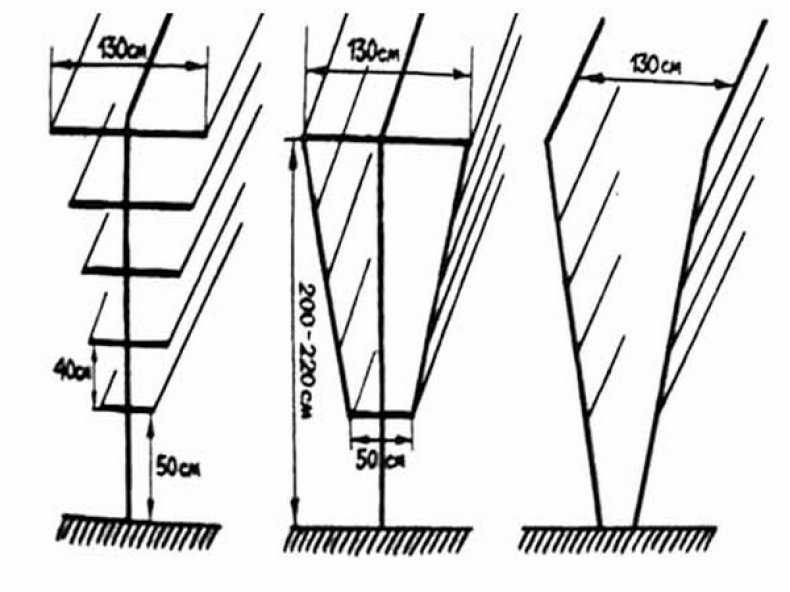 Как правильно сделать шпалеру для винограда размеры схема фото