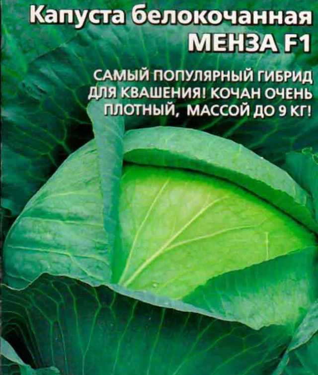 Капуста ринда f1: описание сорта, особенности выращивания, когда сеять семена, отзывы, фото