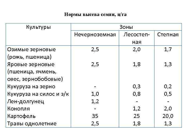 ✅ показатели и средние нормы урожайности чеснока - сад62.рф