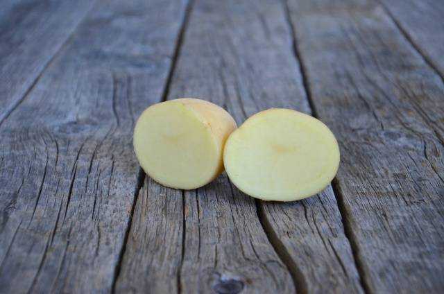 Картофель сорта “агата” из голландии