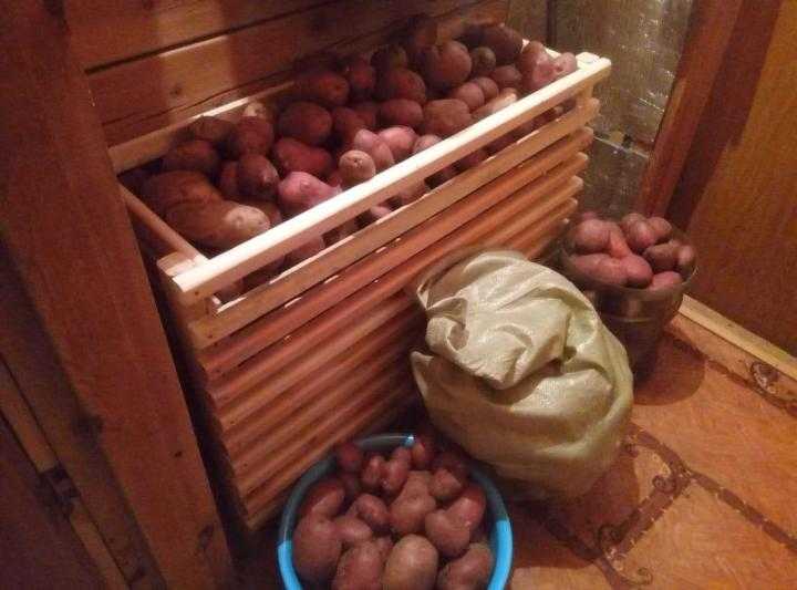 Разбор самого популярного способа. когда спускать и как хранить картошку в погребе зимой?