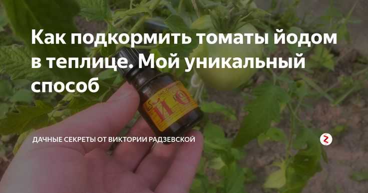 Опрыскивание томатов сывороткой с йодом - рецепт который спасает урожай