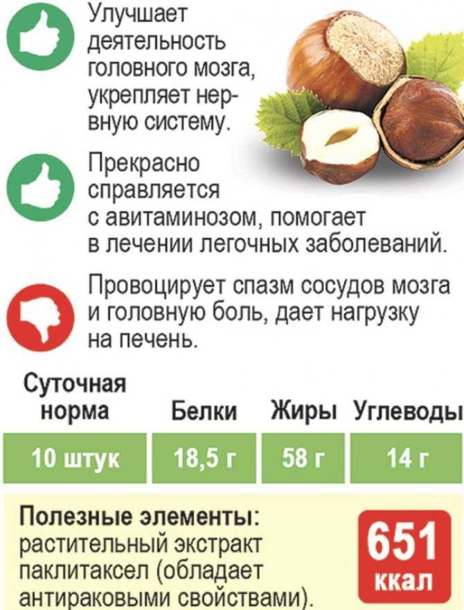 Орех макадамия - сколько можно есть в день, сколько весит один орех, как правильно есть орехи и в каком количестве