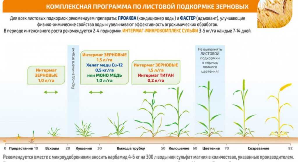 ✅ опрыскивание озимой пшеницы карбамидом - питомник46.рф