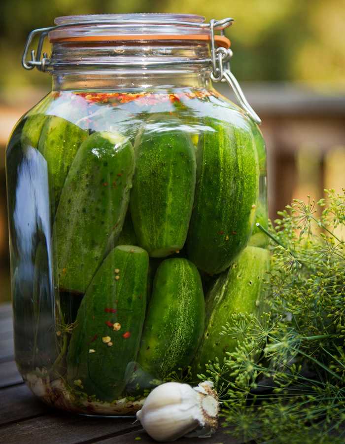 Консервированные огурцы на зиму — самые вкусные рецепты