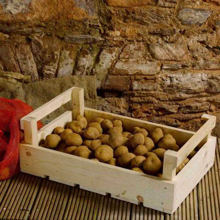 Особенности хранения картошки в гараже без погреба
