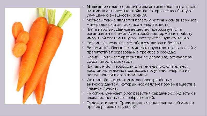 Полезна ли морковь для зрения и как ее лучше употреблять?