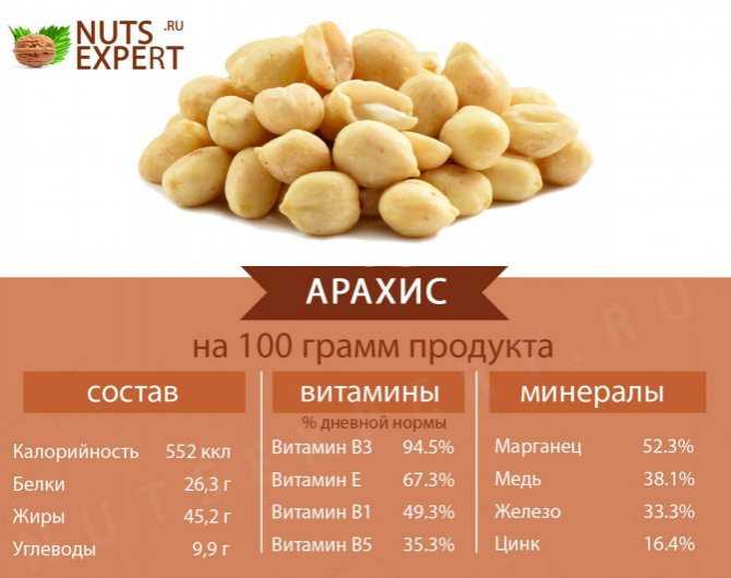 Кедровый орех: чем полезен и вреден, состав, как выбрать и хранить