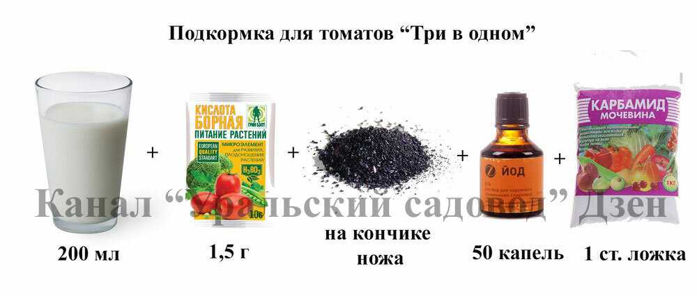 Борная кислота для огурцов: польза и вред, правила приготовления раствора, дозировка для завязи и опрыскивания овощей