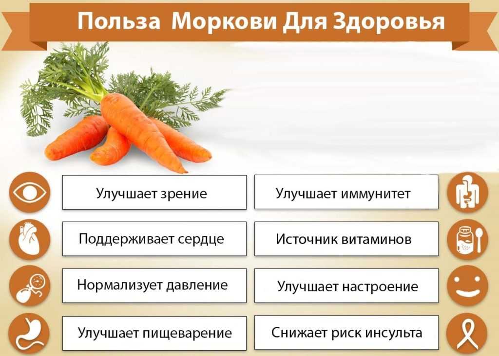 Морковь горчит вредно ли это - выращивание из семян!