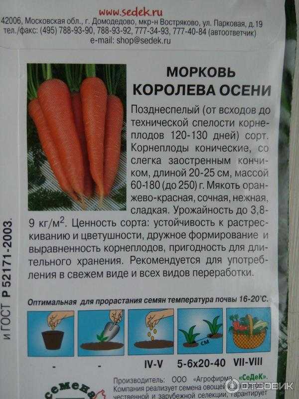 Морковь самсон: фото, описание и характеристика сорта, история происхождения, преимущества, недостатки и правила выращивания, урожайность русский фермер