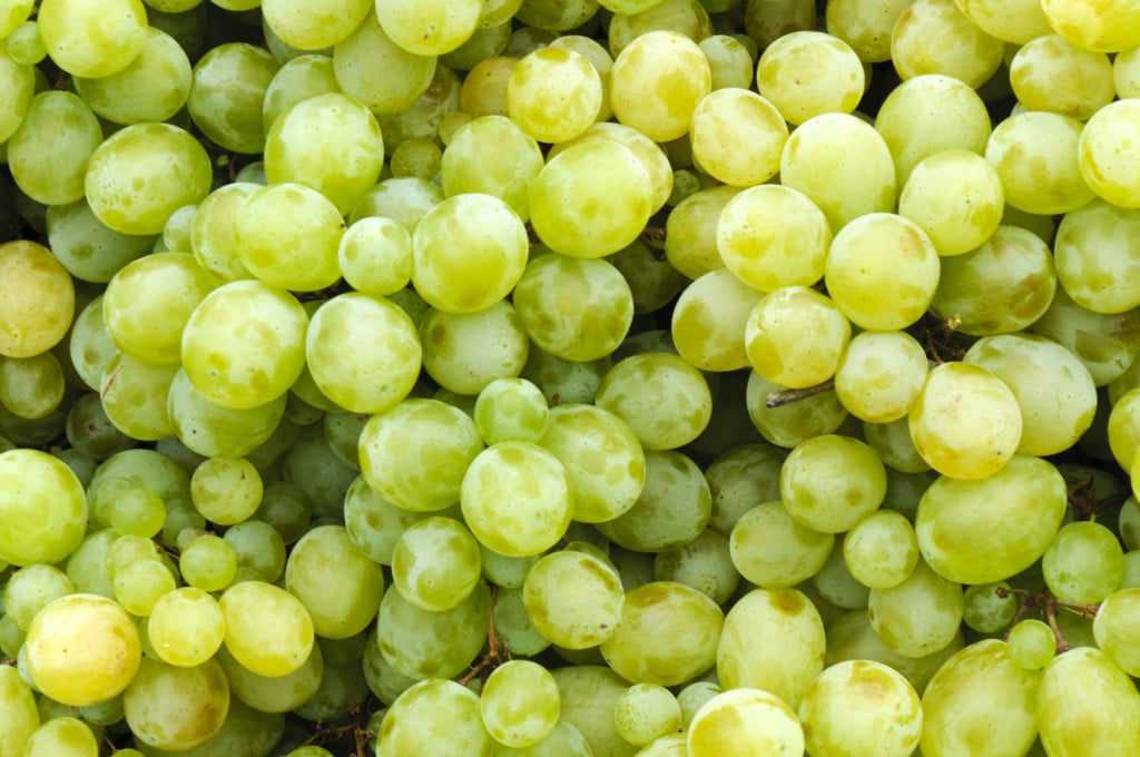 Сколько калорий в черном винограде: калорийность на 100 грамм