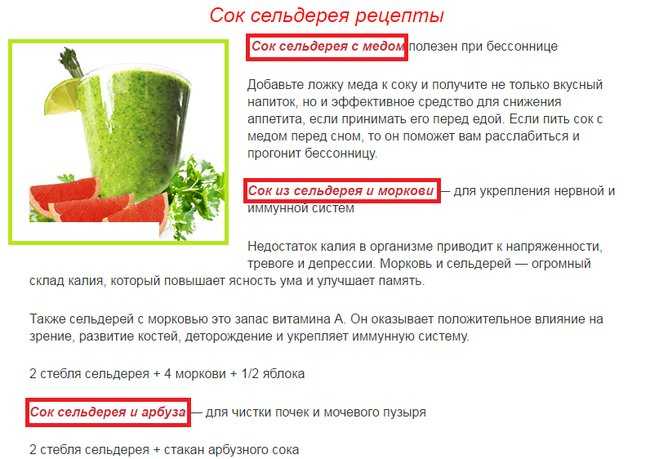 Сельдерей листовой: польза и вред, как употреблять в пищу, отзывы