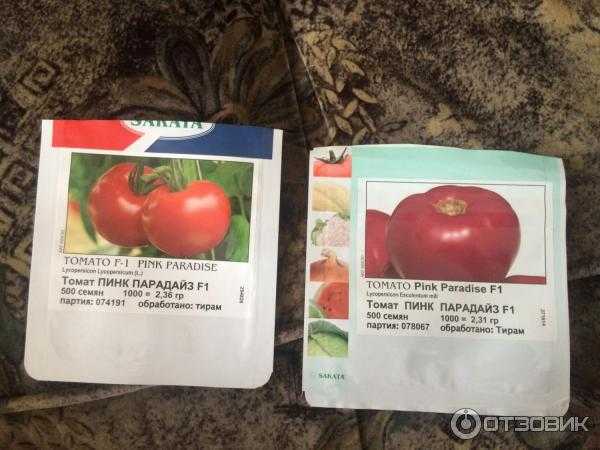 Как правильно выращивать помидоры пинк парадайз - сад и огород