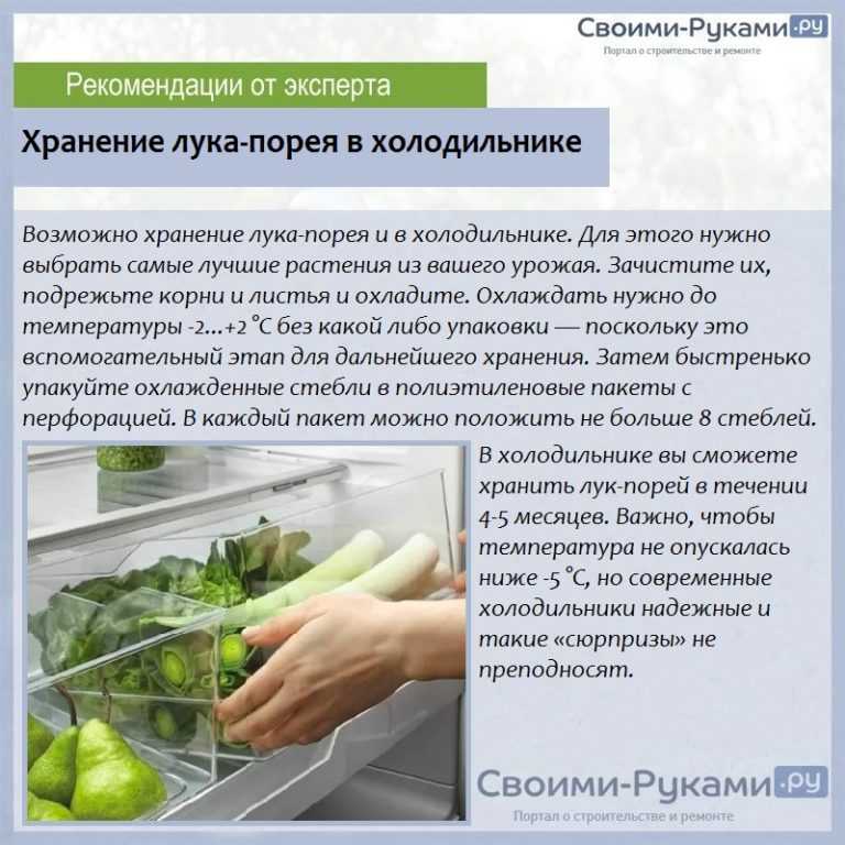 Как хранить зелень в холодильнике долго свежей — 7+ способов