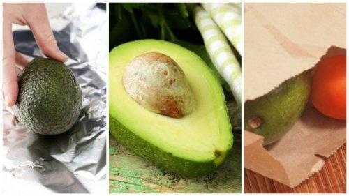 Выбор и варианты хранения авокадо в холодильнике