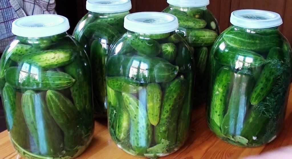 Хрустящие соленые огурцы в банках: 5 супер вкусных рецептов на зиму