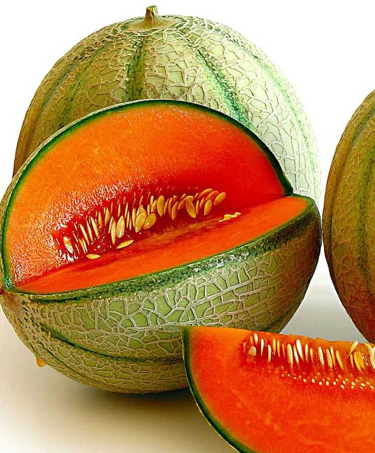 Арбуз - это фрукт или ягода, овощ или тыквина, как правильно называть его плоды