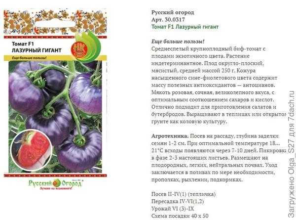 Один из лучших ранних сортов с впечатляющей урожайностью — томат афродита f1
