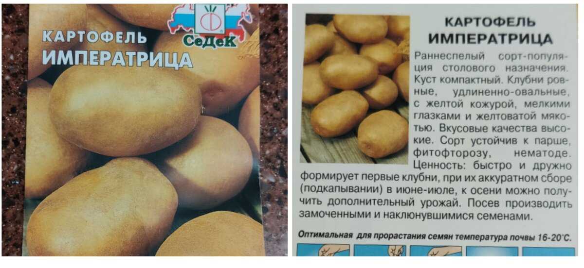 Картофель брянский деликатес: описание сорта, фото и отзывы, характеристика семенного культивара, вкусовые качества