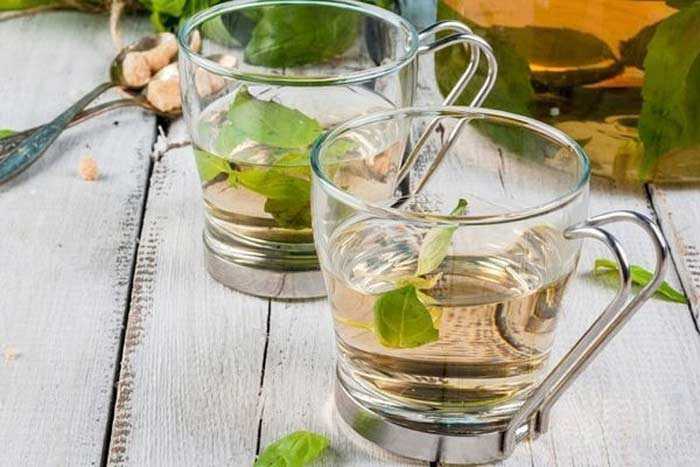 Чай с базиликом польза и вред
