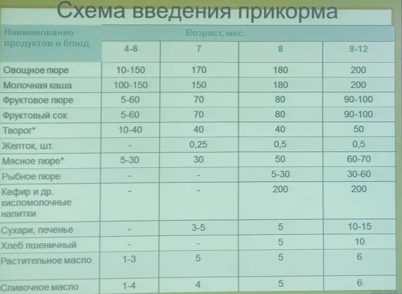 Прикорм с 7-8 месяцев – какие продукты пора вводить в прикорм, примерное меню | nutrilak