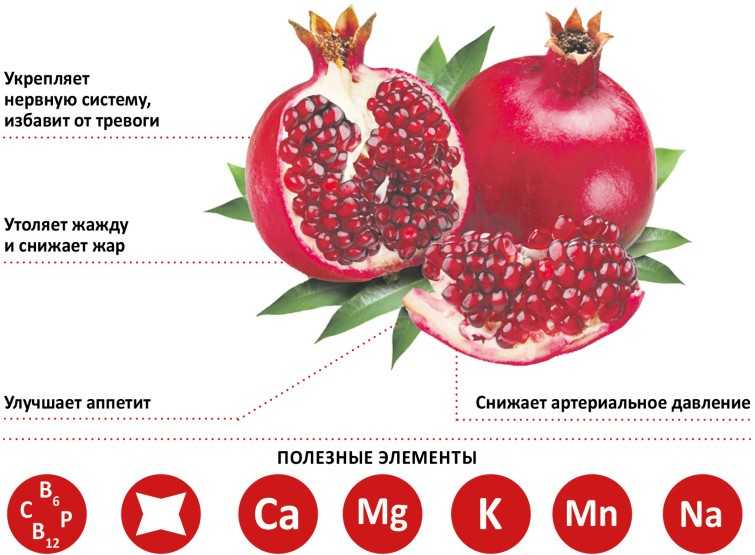 Гранат: это фрукт или ягода, польза, вред, как выбрать, чистить, есть