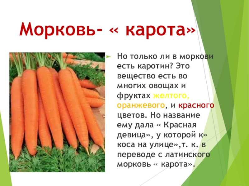 Можно ли кушать желтую морковь. желтая морковь превзошла наши ожидания! вред моркови и противопоказания