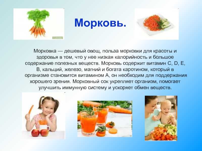 Морковь для зрения: в чем ее польза для глаз, как лучше употреблять овощ, может ли он навредить здоровью, а также альтернативные варианты замены русский фермер