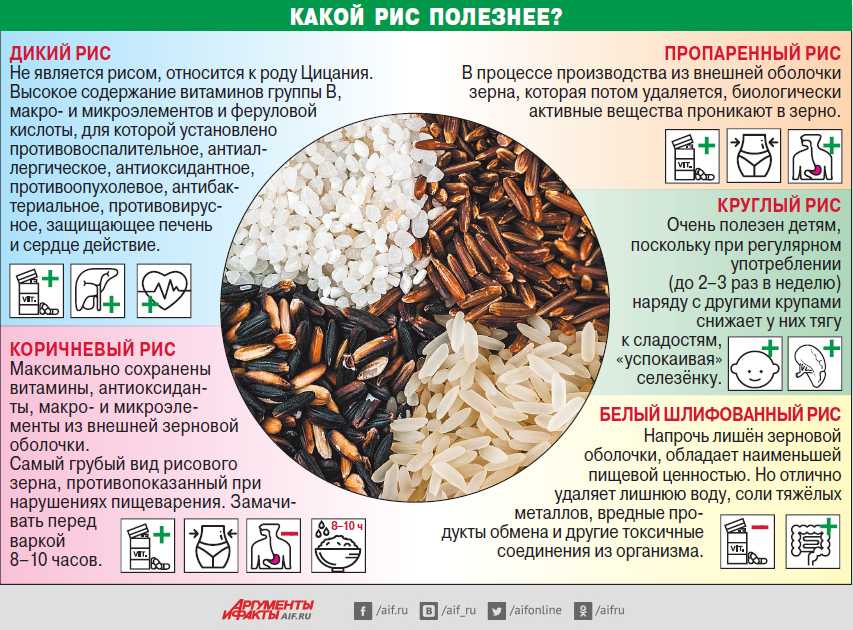 Рис: польза и вред, состав, виды, сорта и свойства