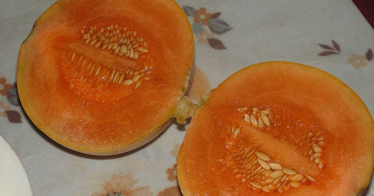 Почему мякоть внутри дыни оранжевая, название и описание сортов
