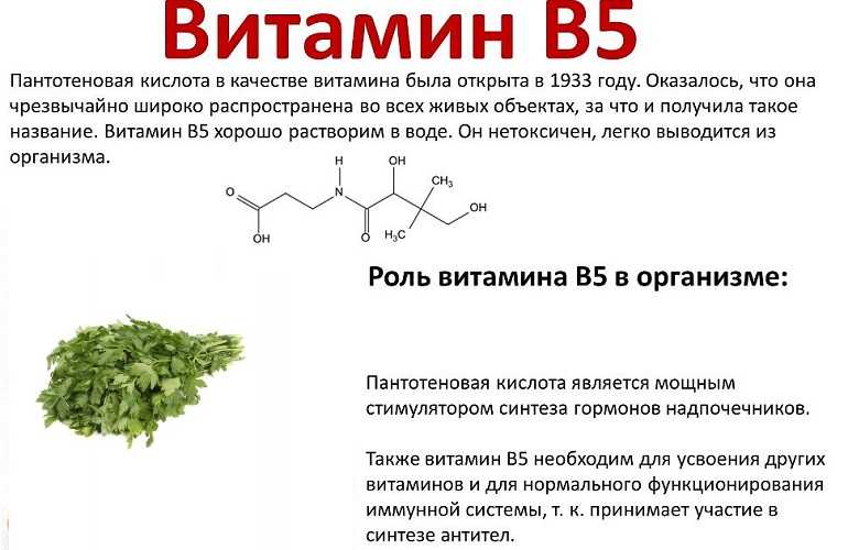 Укроп: польза, применение в медицине и 18 народных рецептов