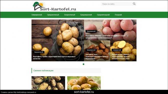 Картофель журавинка: отзывы, фото, описание сорта, посадка и выращивание, подкормка, вкусовые качества