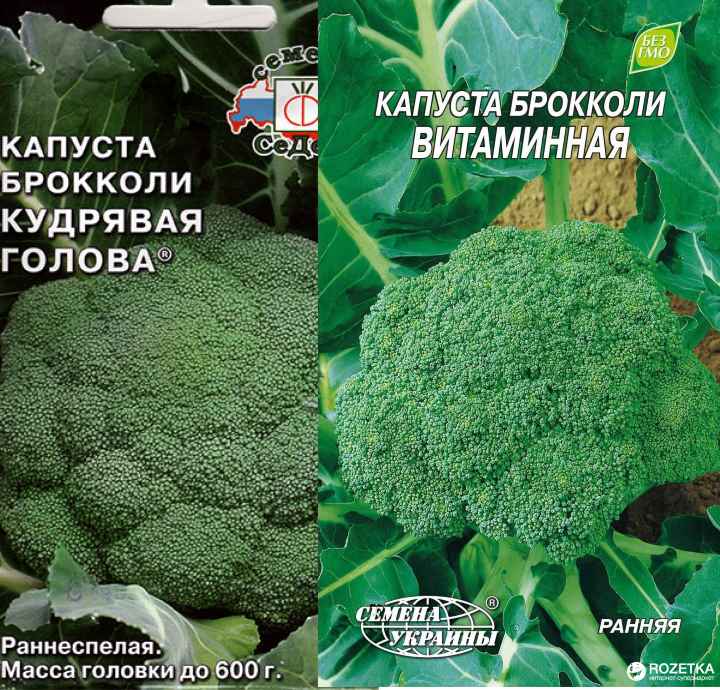 Особенности выращивания и описание сорта капусты брокколи "тонус"