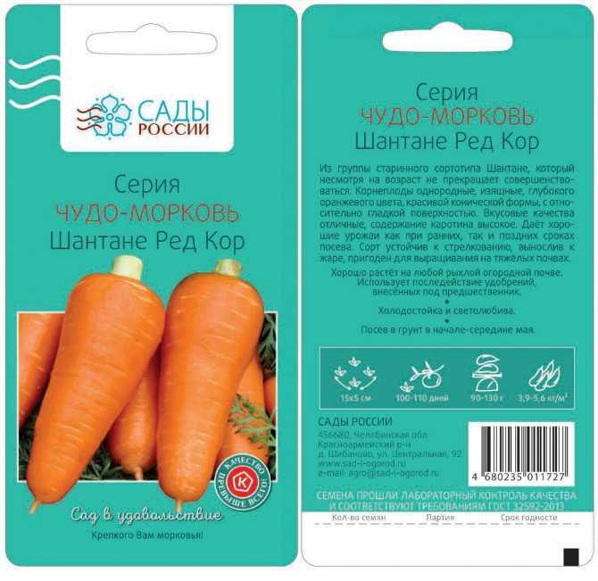 Морковь болтекс: описание сорта и отзывы об урожайности, характеристика гибрида, особенности выращивания и ухода, сроки созревания, описание вкусовых качеств