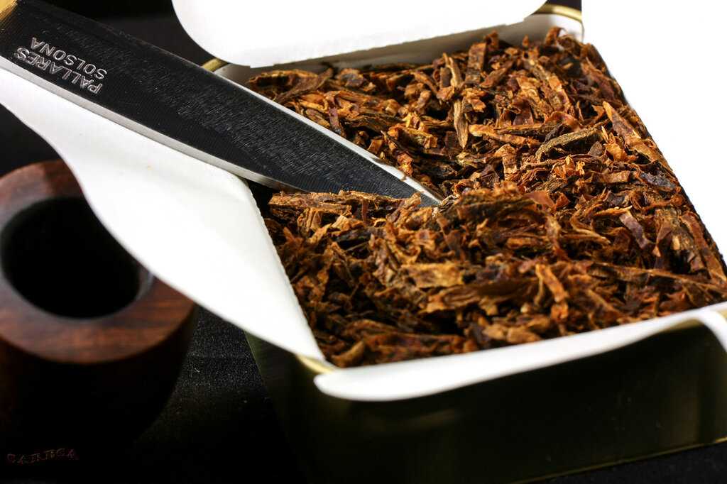 Домашний табак: как правильно собирать и сушить