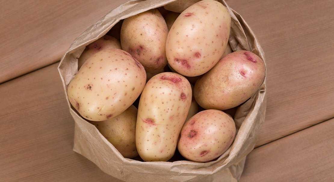 Сорт картофеля «фермер»: описание, плюсы/минусы, выращивание и уход