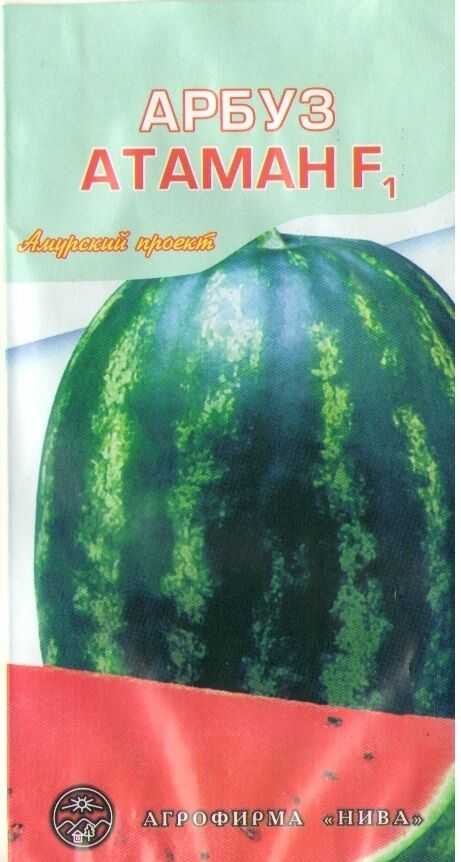 Ранние сорта арбузов: для открытого грунта, весовые скороспелые семена, названия сахарных гибридов, отзывы о сюрпризе