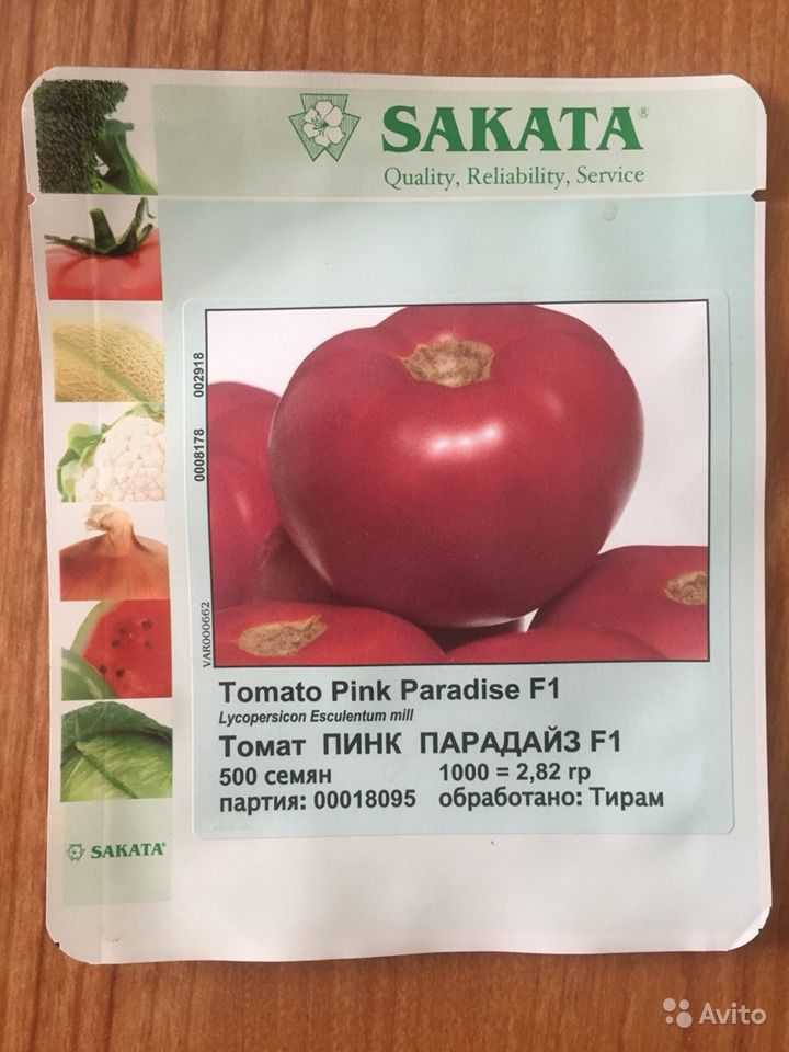 Характеристика гибридов томат «пинк парадайз f1». отзывы на основе отзывов и фото куста