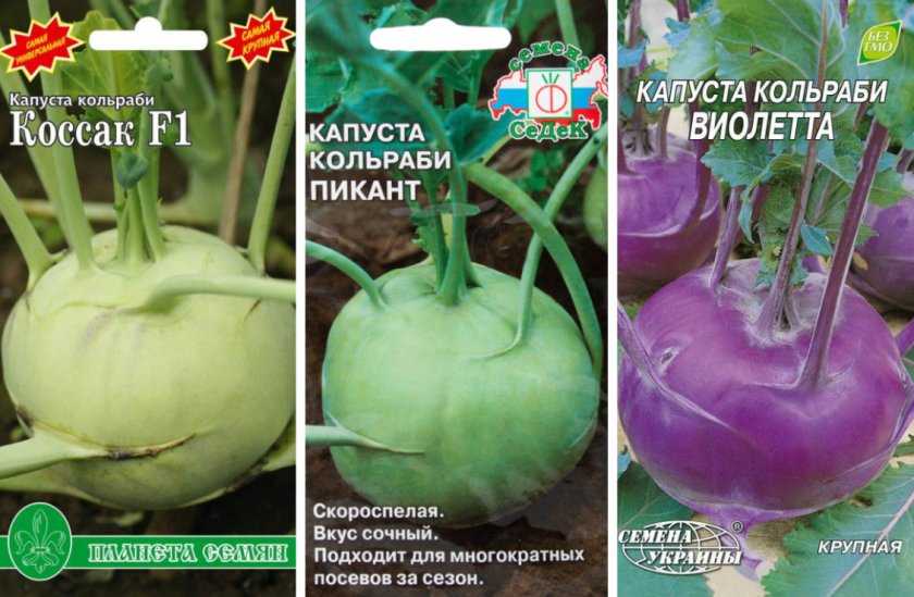 Где и как правильно хранить белокочанную капусту: советы и правила