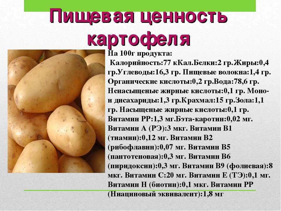 Картофель - польза и вред для здоровья человека