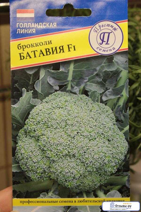 Капуста брокколи батавия f1: отзывы о выращивании, описание раннего сорта и характеристика, фото семян престиж ц