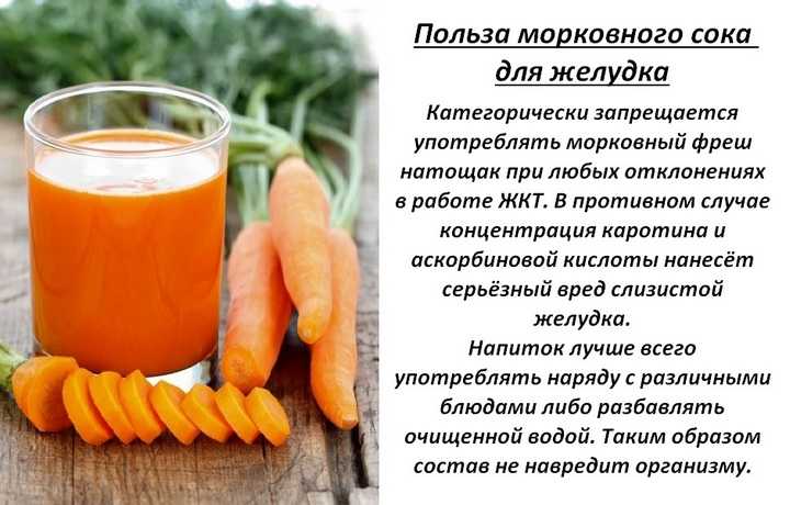 Черная морковь: что это такое, польза и вред, применение