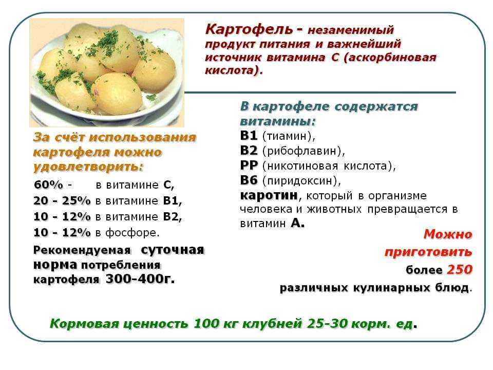 Польза и лечебные свойства сырого картофеля для организма и возможный вред при неправильном применении