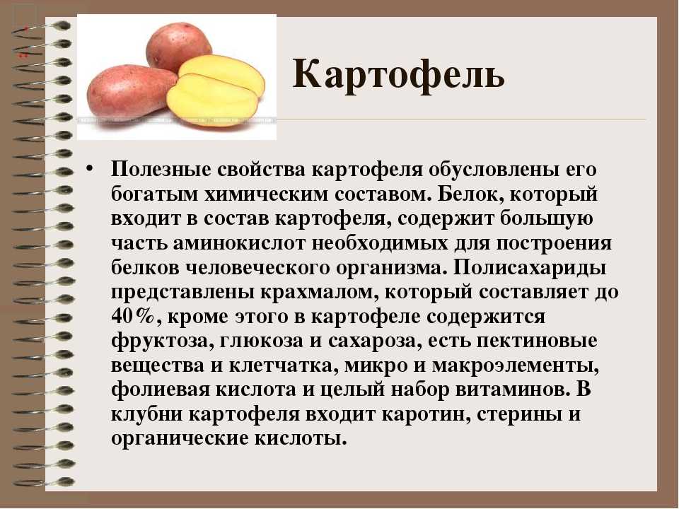 Картофель: польза и вред. противопоказания, полезные свойства картошки
